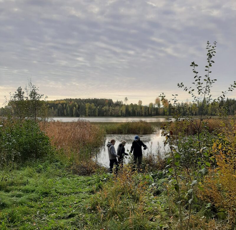 Kolme poikaa kalastamassa ruohikkoisella rannalla