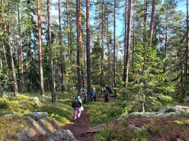 4 partiolaista tarpoo metsäpolulla rinkat selässä kohti kuvaajaa